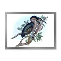 DesignArt 'Антички австралиски птици vii' Традиционална врамена уметничка печатење