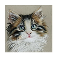 Лили Лиама „Маче портрет II“ платно уметност
