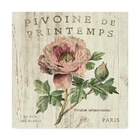 Трговска марка ликовна уметност 'Pivoine de printemps sq' Canvas Art by Sue Schlabach
