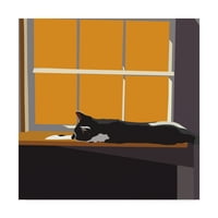 Трговска марка ликовна уметност „мачка на прозорец праг II“ платно уметност од Емили Калина
