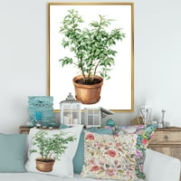 DesignArt 'Ficus Benjamina Plant in Clay Clainpot' Традиционална врамена платно wallидна уметност печатење