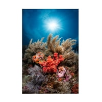 Баратие Габриел „Подводен живот“ платно уметност