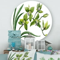 DesignArt „Зелени орхидеи цвеќиња на бела“ традиционална метална wallидна уметност - диск од 23