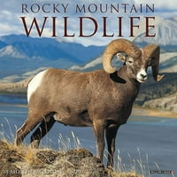 Willow Creek Press Rocky Mountain Wildlife Wildlife Calendarиден календар