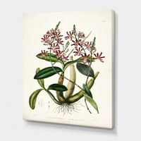 Дизајн Антички растителен живот vii 'Традиционална печатена печатена уметност во wallидот на платно