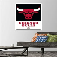 Чикаго Булс-Логото Ѕид Постер со Притисни Иглички, 22.375 34