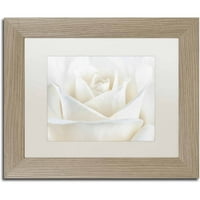 Трговска марка ликовна уметност „чиста бела роза“ платно уметност од Кора Ниле, бела мат, рамка од бреза