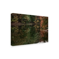 Заштитен знак Ликовна Уметност Есенско Зеленило Со Вода Како Стакло Платнена Уметност Од Ентони Паладино